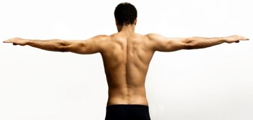 Bone and Joint Health